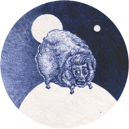 zwart schaap bang voor het witte gat