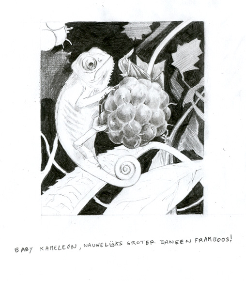baby chameleon, slightly larger than a raspberry