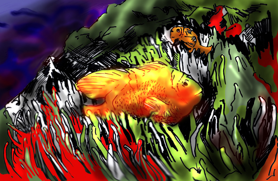 fish