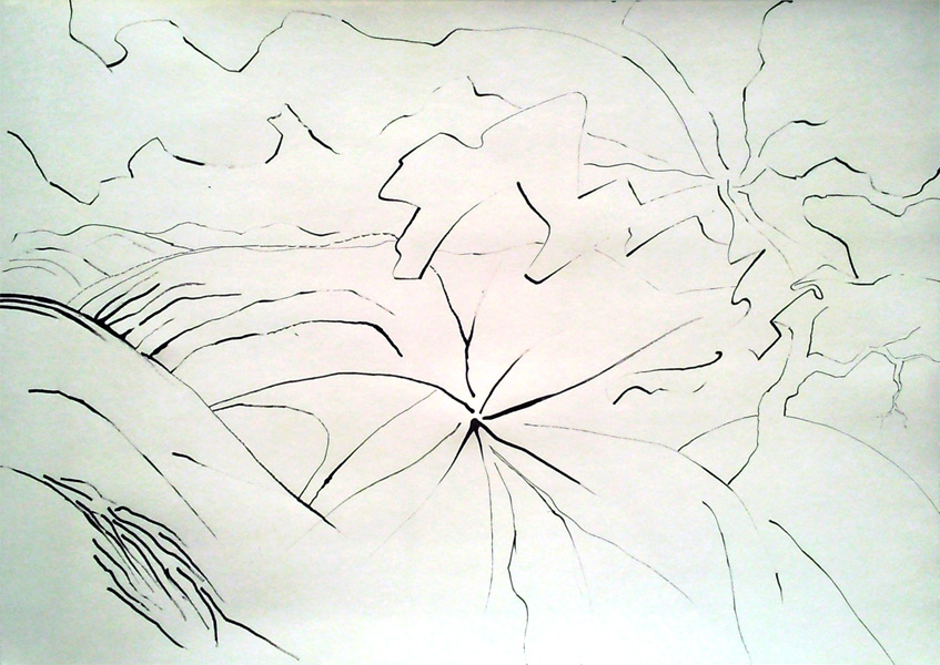bambooscape