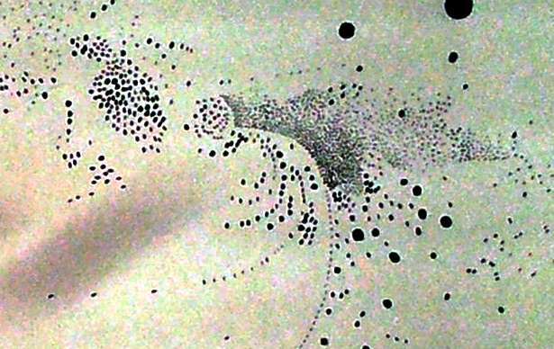 detail