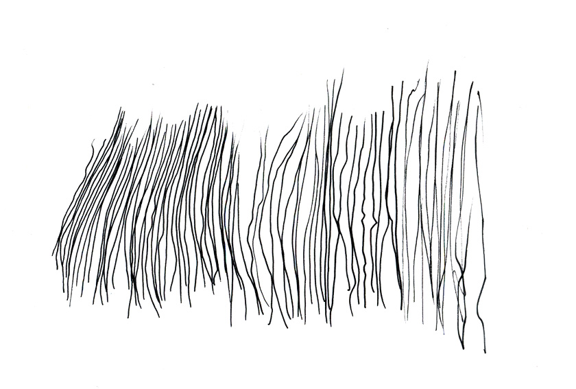 lines